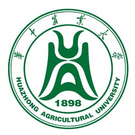 标题